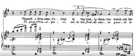 Nessun Dorma - Khúc Aria Thảng Bật Lửa Hy Vọng Và Tình Yêu Bất Diệt